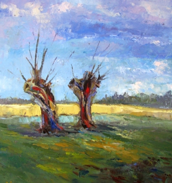 Smólnik 2 wierzby2014r.jpg