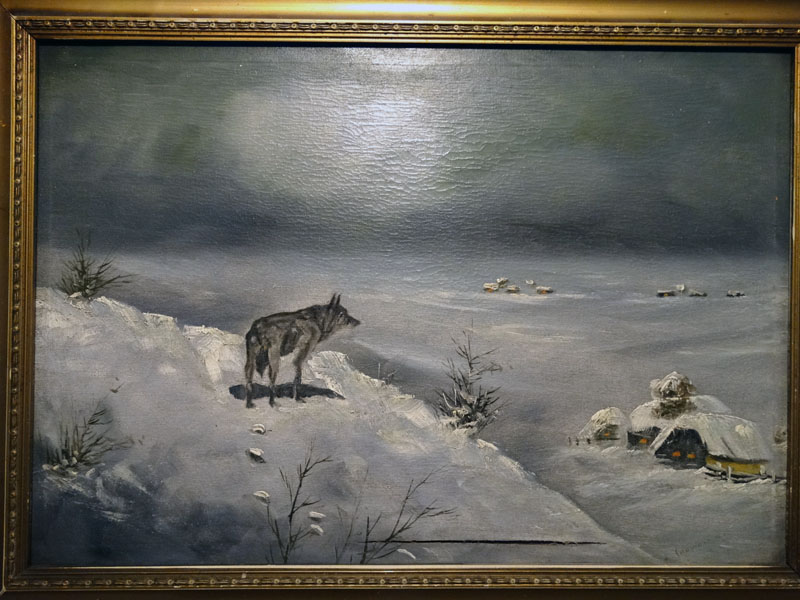 samotny wilk 4.jpg