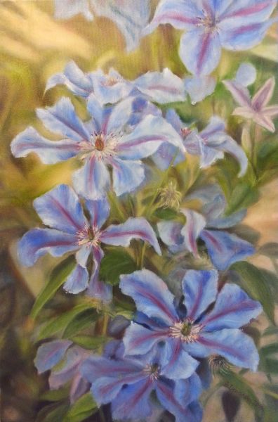 clematis Beata Domańska.jpg