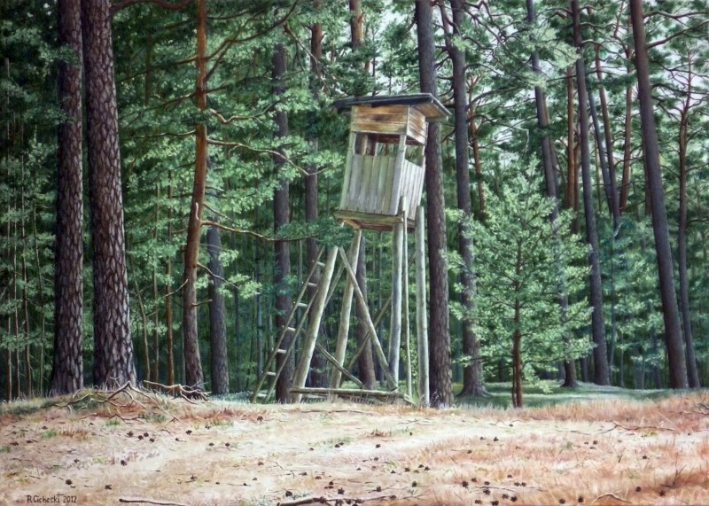Z Puszcza Wkrzańska (ambona myśliwska).JPG