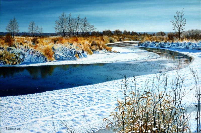Drawa , 40 x 60 , olej.JPG