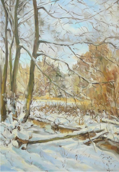 Kopia zima, olej, płótno 50x70 cm, 2010r.jpg