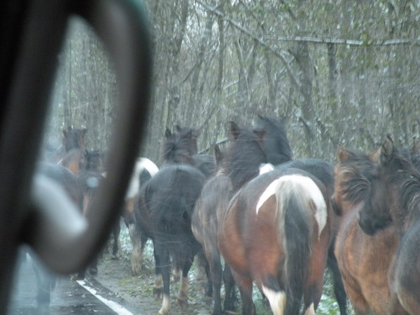 bieszczady 15.10.2011 091.jpg