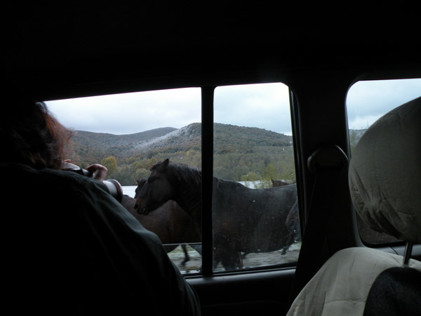 bieszczady 15.10.2011 096.jpg