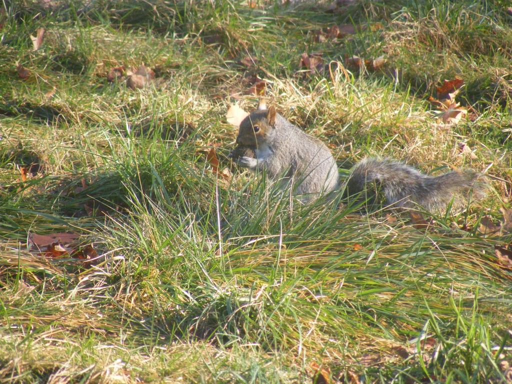 DSCF6333-2.jpg