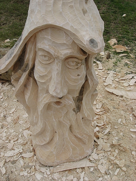 Skrzet lesny 2009_detal.jpg