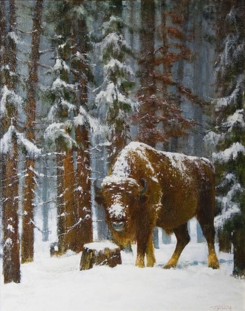 zubr_xix_40x50.jpg