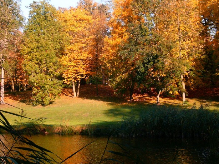 HPIM0368.JPG
