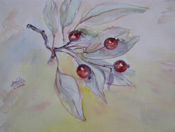 Ciechocinek rajskie jabłuszka  akwarela Fabriano 18x24.jpg
