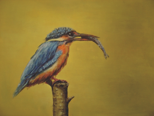 2 Zimorodek akryl, płótno 30x40 2008.jpg