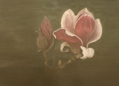 5 Magnolia soulangiana Lennei akryl, płótno 33x24 2008.jpg