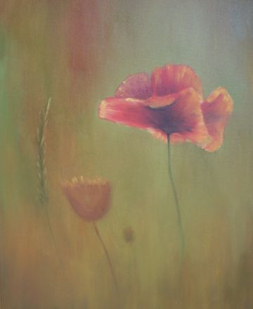 10 Mak olej, płótno 40x50.jpg