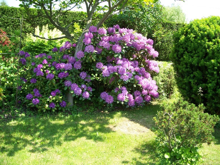 100_1860.JPG